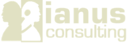 Ianus Consulting Ltd