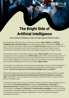 The Bright Side of Artificial Intelligence: How artificial intelligence helps the fight against disinformation